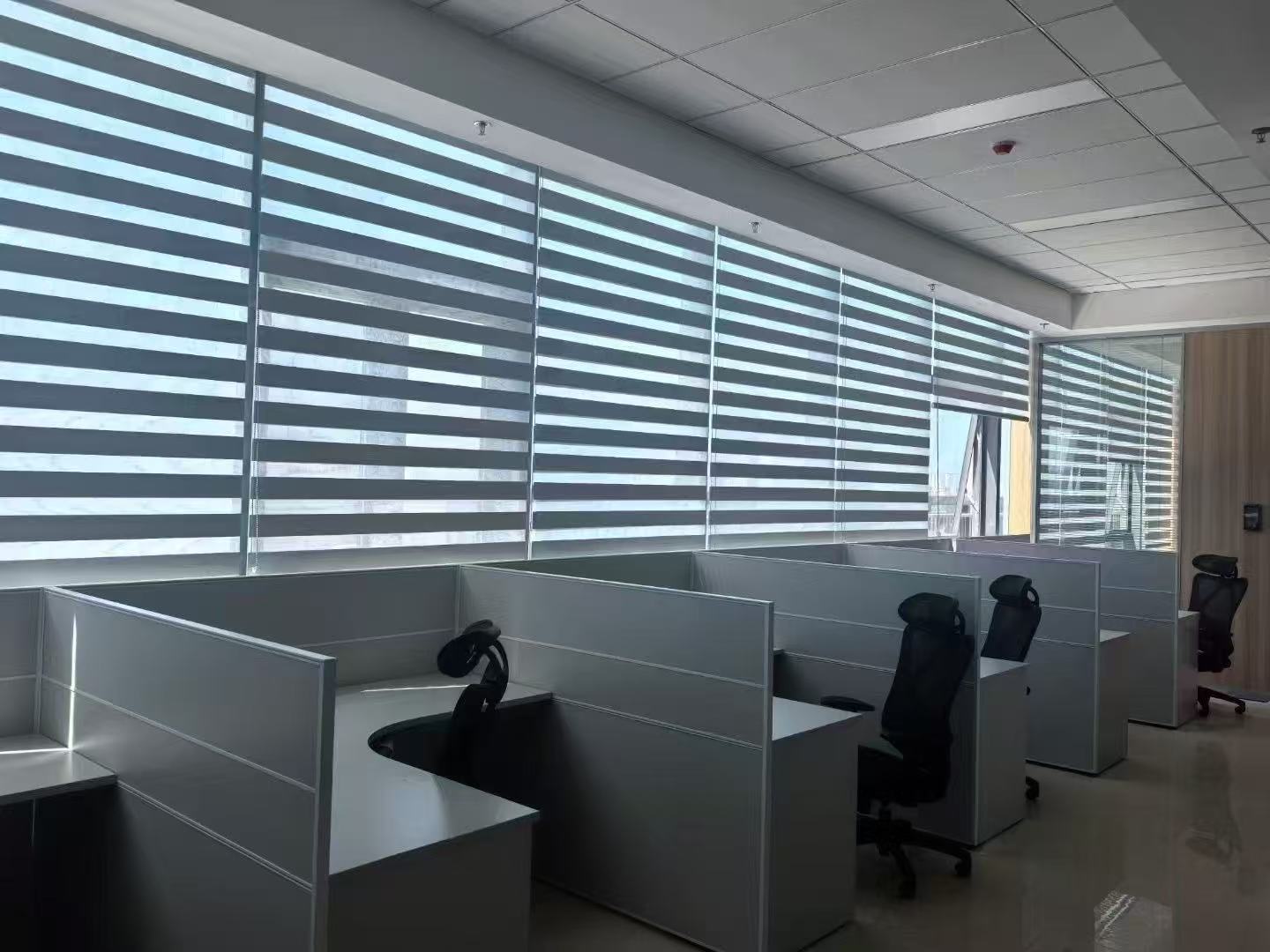 Skylight Shades